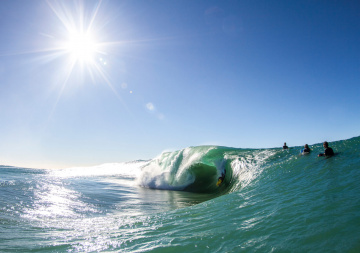 Joshua-tabone - Port Macquarie Body Boarding Association